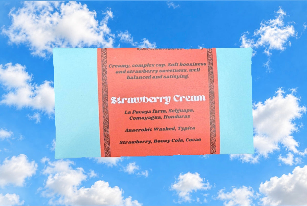 STRAWBERRY CREAM / Honduras / by Celia Portillo